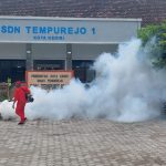 Chikungunya Mewabah di Ngasem Kediri, Warga Harus Waspada