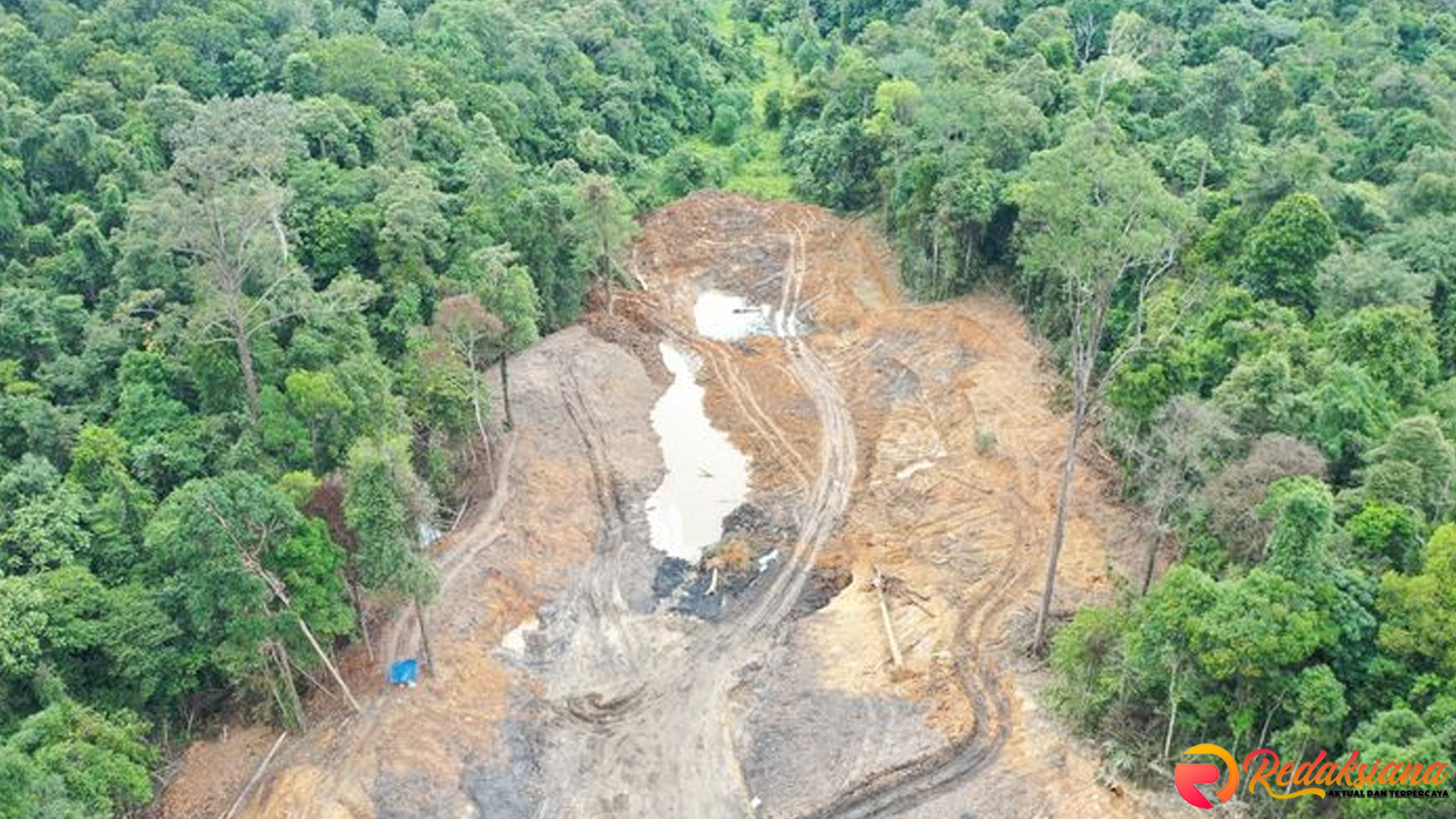 Tambang Ilegal Hutan Unmul: Proses Gugatan Perdata Lambat