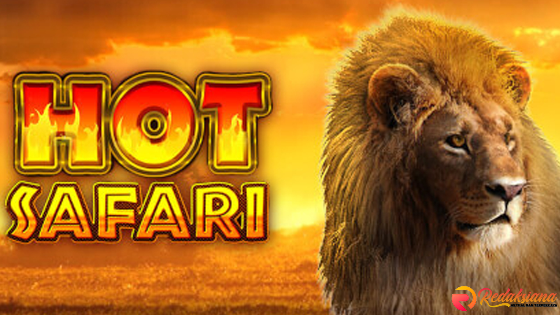 Jelajahi Hot Safari Dengan Beragam Bonus Menarik di Ruby8000