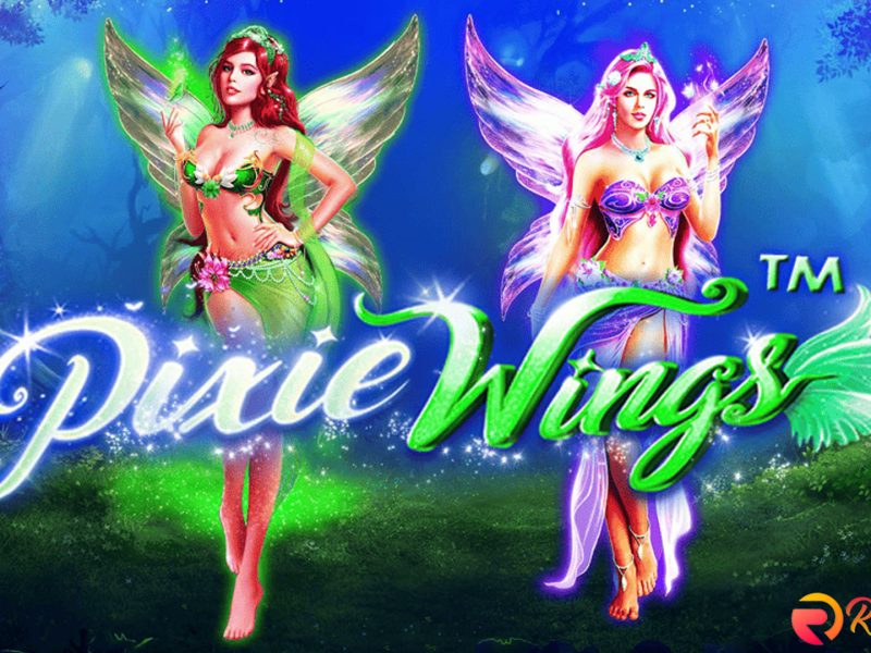 Situ Bandar 4D Buka-Bukaan Soal Pixie Wings yang Sadis