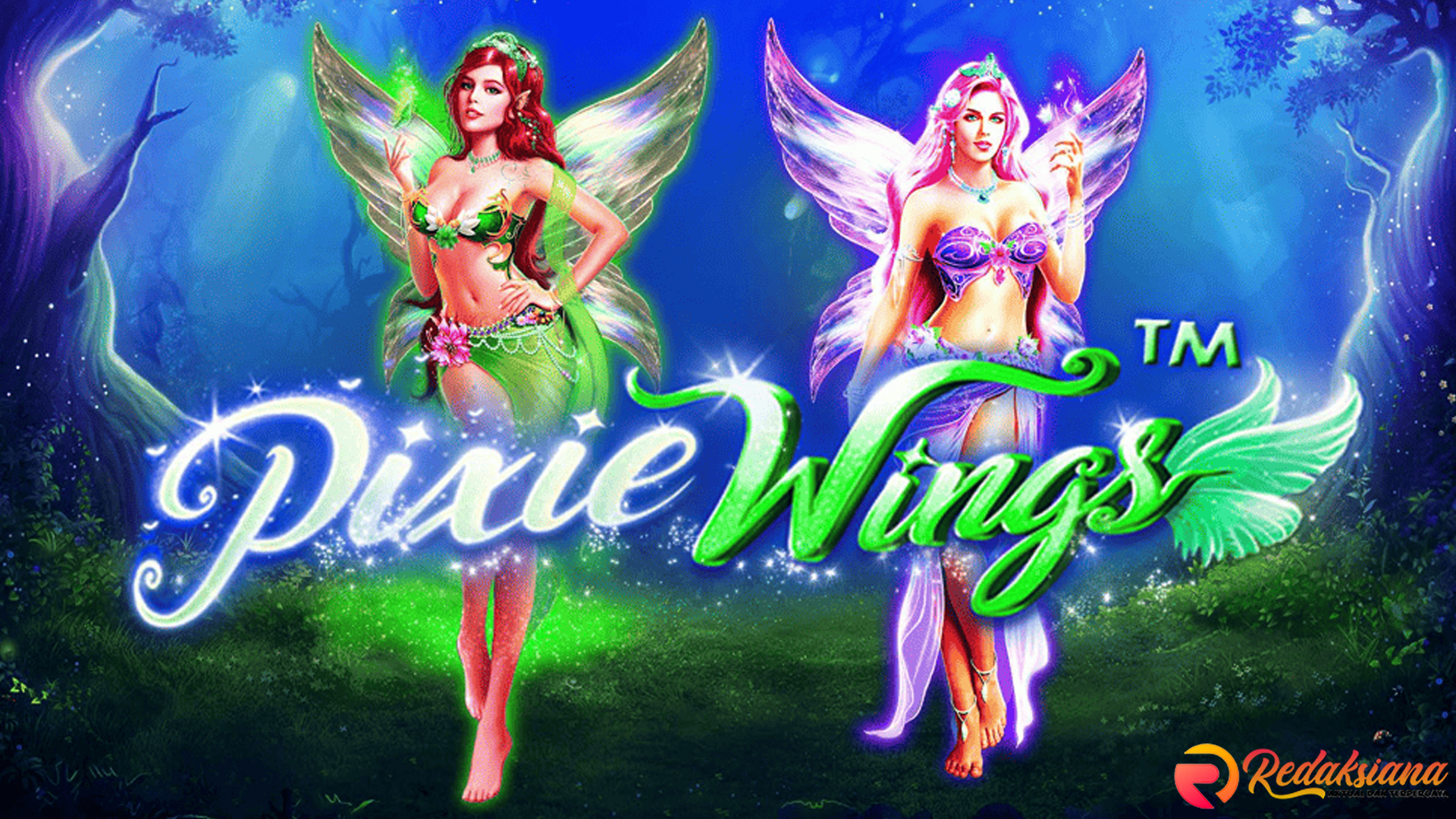 Situ Bandar 4D Buka-Bukaan Soal Pixie Wings yang Sadis
