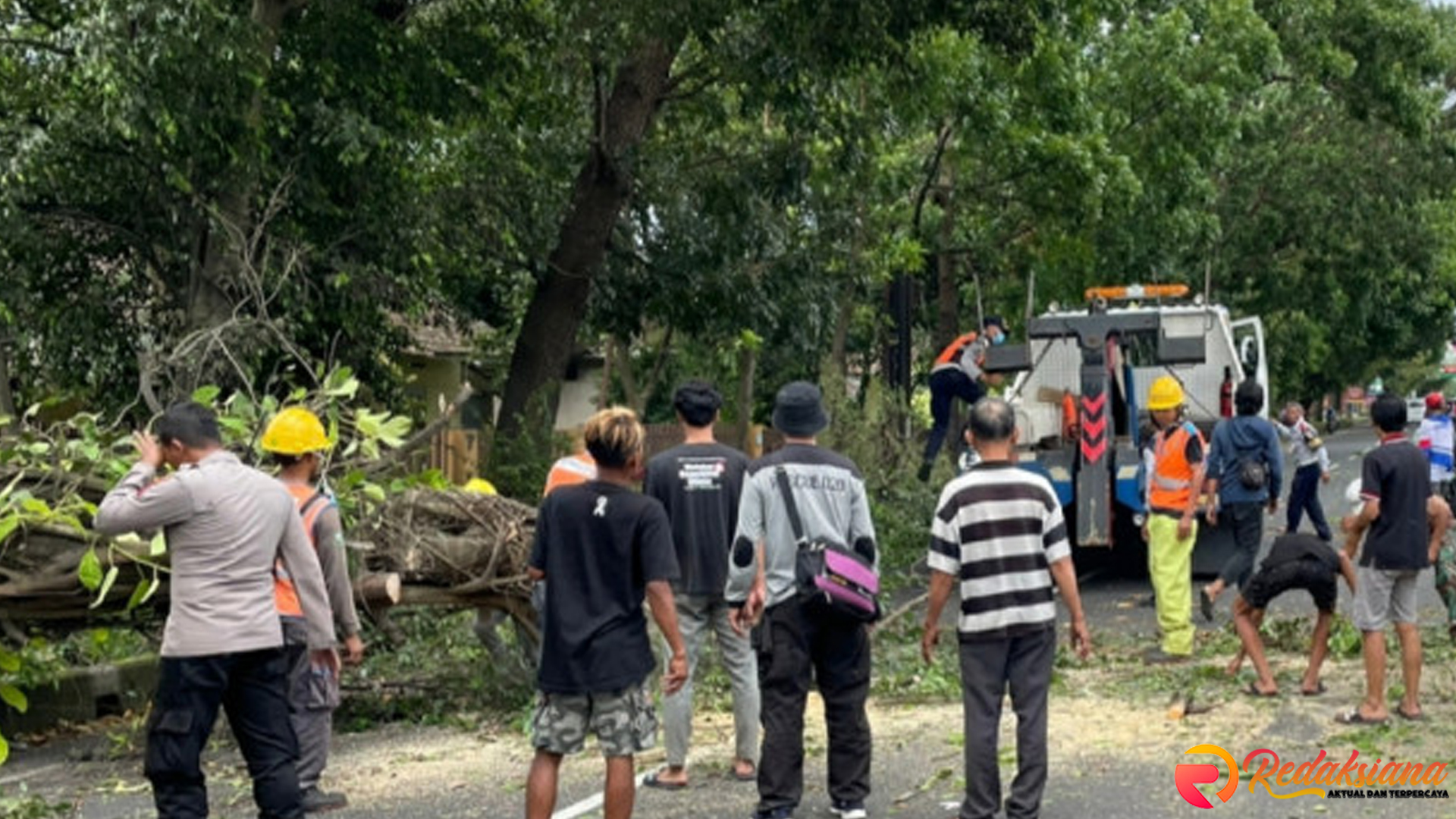 4 Langkah Cepat Tim SAR Selamatkan Sopir Bus Tertimpa Pohon