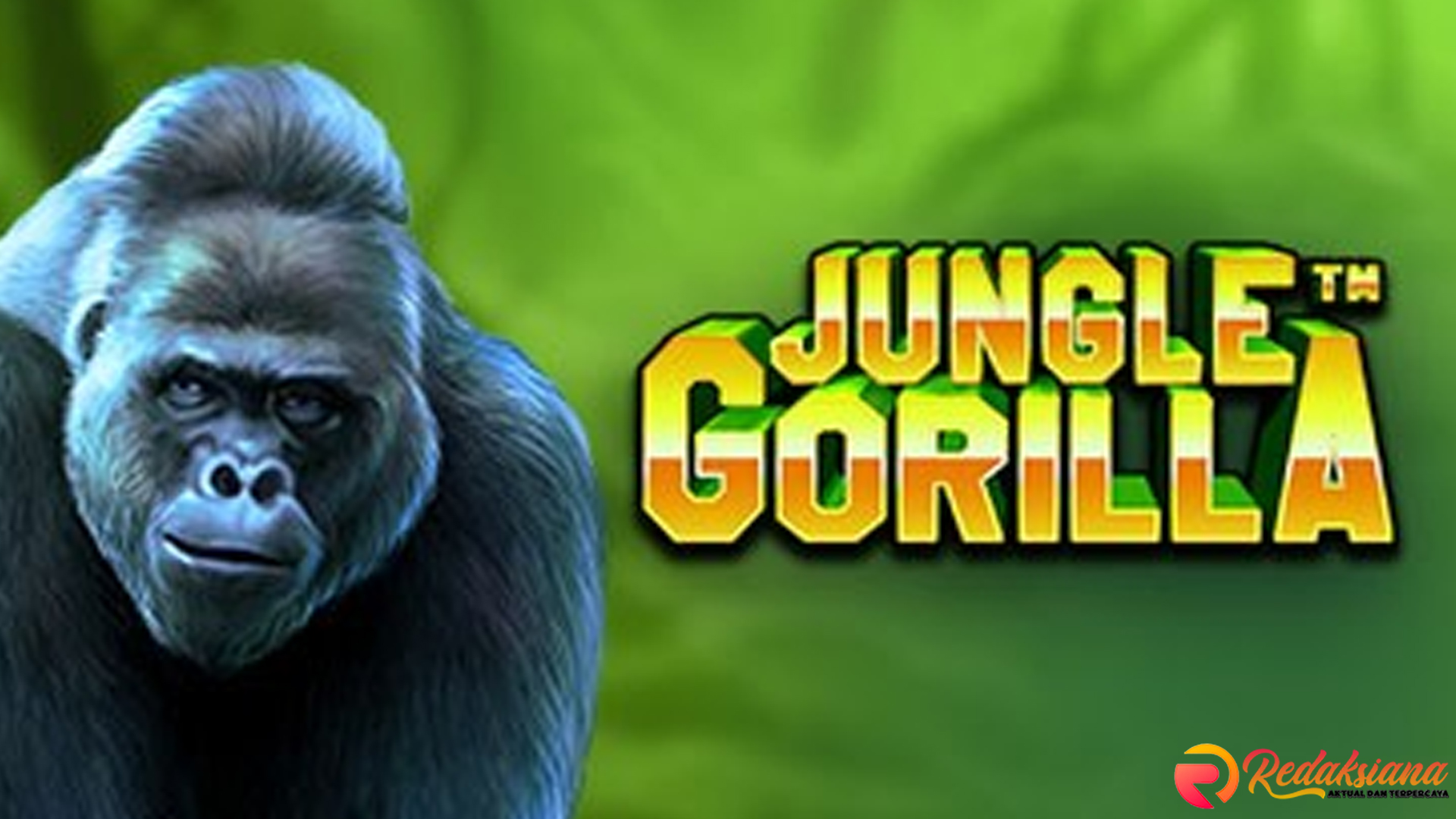 Jungle Gorilla Slot Membawa Rtp8000 ke Level Performa Baru