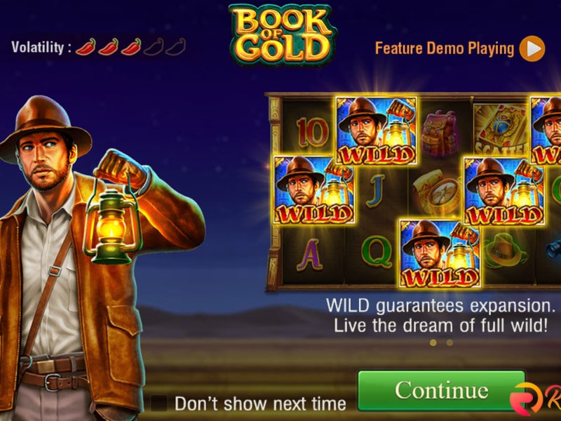 Dinamika Rtp8000 Untuk Slot Book Of Gold yang Jarang Dibahas