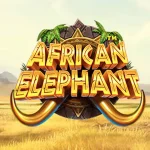 Fitur Spesial Slot African Elephant yang Ada di Ruby8000