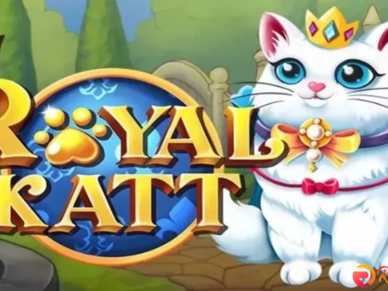 Royal Katt Bawa 4 Sentuhan Kucing Kekinian, Bikin Hype Parah
