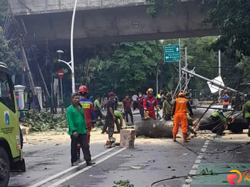 Setelah DKI Fokus Pemangkasan 5 Wilayah Pohon Tumbang