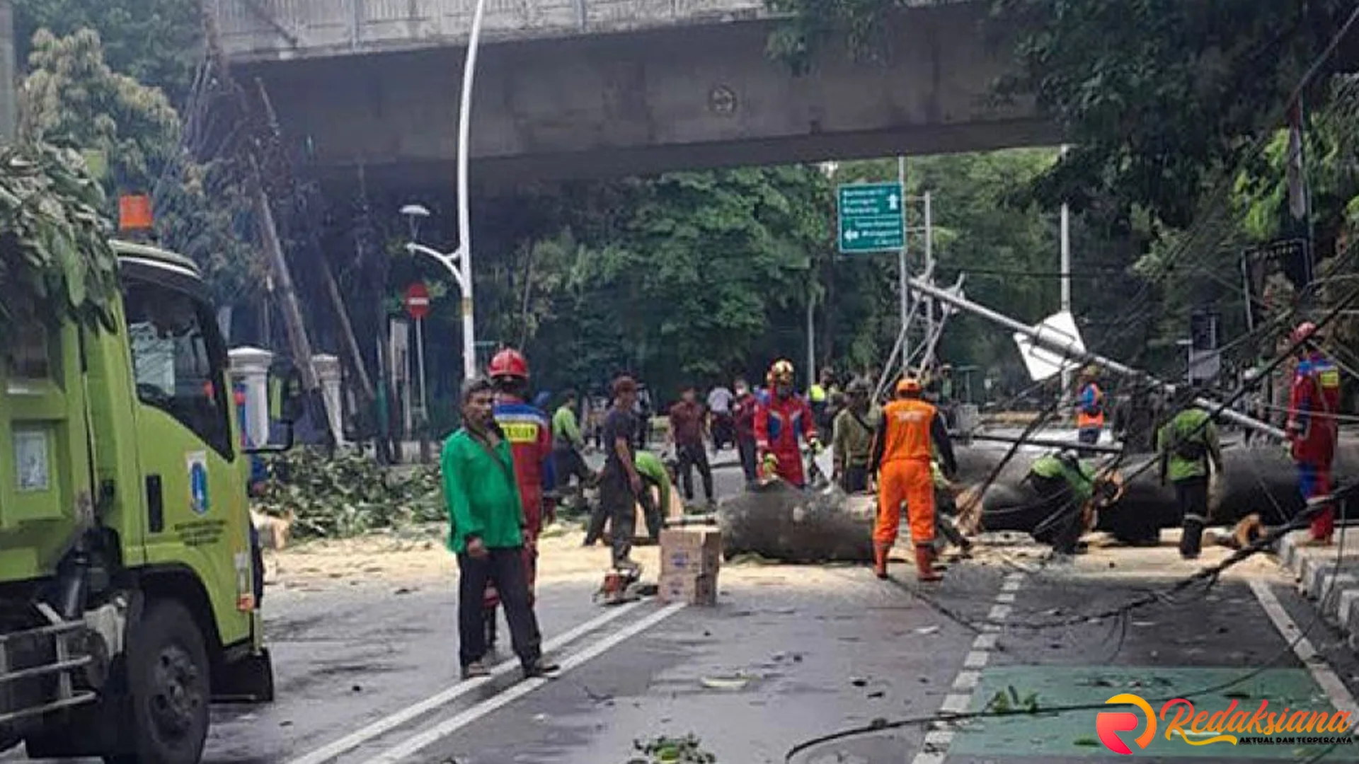 Setelah DKI Fokus Pemangkasan 5 Wilayah Pohon Tumbang